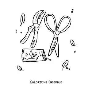 Image à colorier d’outils de jardinage