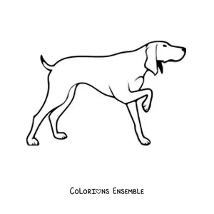 Image à colorier d’un chien de chasse