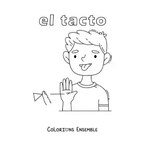 Image à colorier du sens du toucher dans le corps humain, pour les enfants