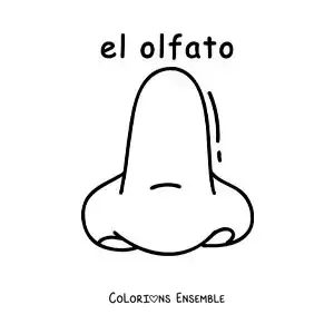 Image à colorier d'une fiche éducative sur le sens de l'odorat