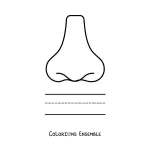 Image à colorier d'une activité éducative pour enfants sur le sens de l'odorat