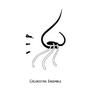 Image à colorier d'un nez qui sent une odeur