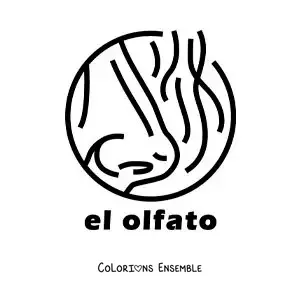 Image à colorier d'un nez qui sent une odeur, avec le texte « l'odorat »