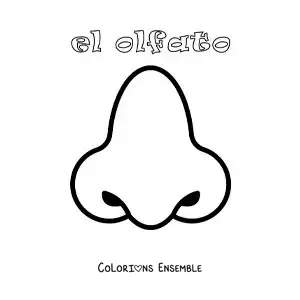 Image à colorier du nez et du sens de l'odorat, pour les enfants