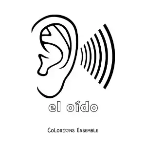 Image à colorier d'une oreille qui écoute des ondes sonores