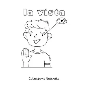 Image à colorier du sens de la vue dans le corps humain