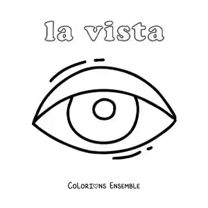 Image à colorier de l'œil et du sens de la vue