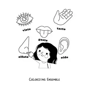 Image à colorier des organes des 5 sens en dessin animé pour enfants
