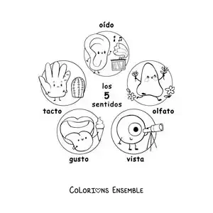 Image à colorier de dessins animés des 5 sens pour enfants