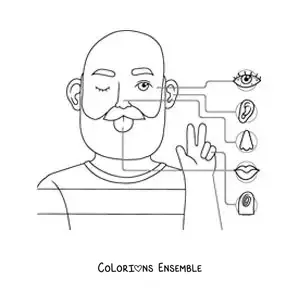 Image à colorier des organes des 5 sens dans le corps