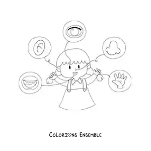 Image à colorier des 5 sens indiqués sur le corps humain
