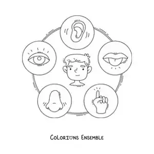 Image à colorier d’une fiche éducative avec des dessins animés des cinq sens
