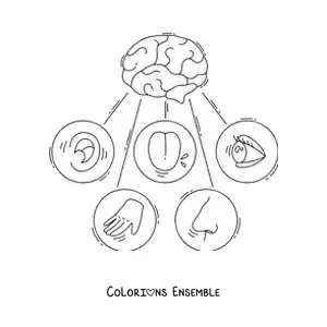 Image à colorier des cinq sens et du cerveau humain