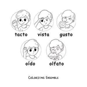 Image à colorier de dessins animés des cinq sens pour enfants