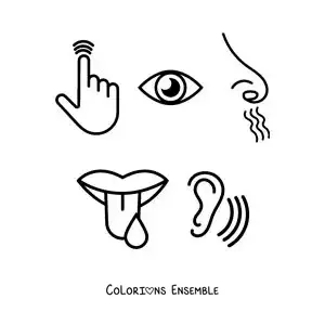 Image à colorier de symboles des cinq sens