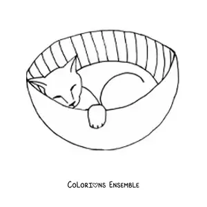 Image à colorier d’un chat endormi dans un panier pour chat