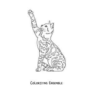 Image à colorier d’un chat réaliste à taches
