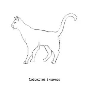Image à colorier d’un chat qui marche