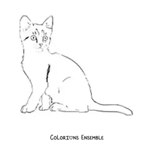 Image à colorier réaliste d’un chat assis