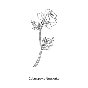 Image à colorier d’une petite rose réaliste avec des feuilles