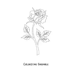 Image à colorier d’une rose avec une tige