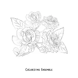 Image à colorier de quatre jolies roses réalistes avec des feuilles