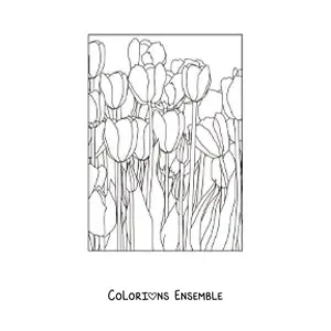 Image à colorier d’un champ de tulipes