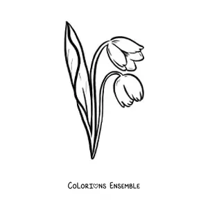 Image à colorier d’une paire de tulipes avec des feuilles