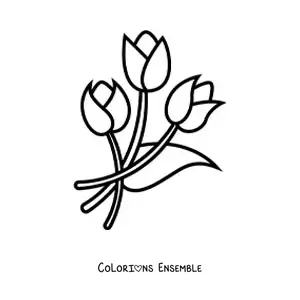 Image à colorier de trois tulipes simples