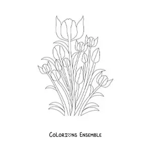Image à colorier de plusieurs tulipes avec des feuilles