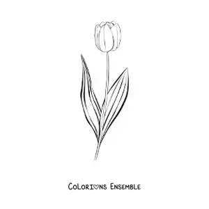 Image à colorier d’une petite tulipe avec des feuilles