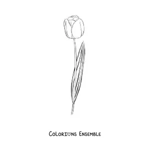 Image à colorier d’une petite tulipe avec une feuille