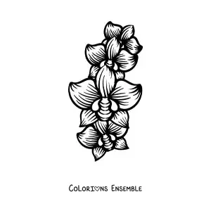 Image à colorier de trois grandes orchidées