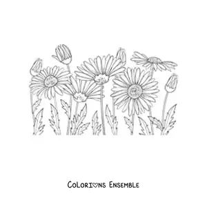 Image à colorier d'un champ de marguerites