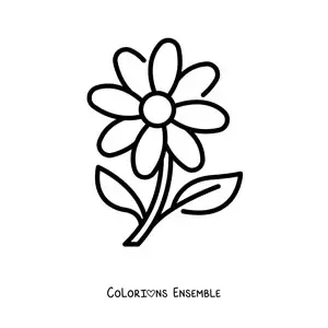 Image à colorier d'une marguerite toute simple