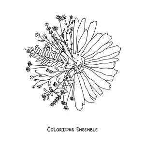 Image à colorier d'une belle marguerite