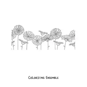 Image à colorier d'un champ rempli de marguerites