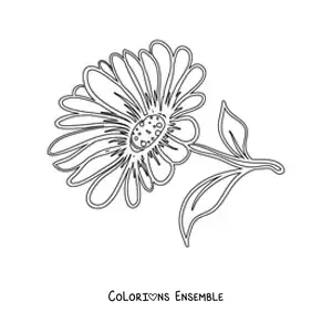 Image à colorier d'une marguerite