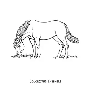 Image à colorier d’un cheval broutant dans un champ