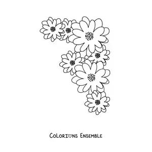 Image à colorier de plusieurs petites marguerites