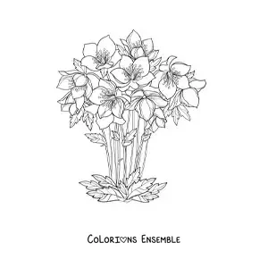 Image à colorier d’un bouquet de beaux lys dans un vase
