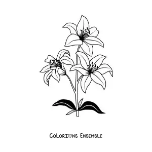 Image à colorier de trois lys