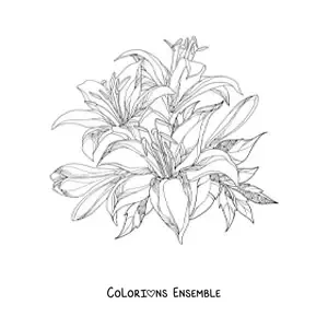 Image à colorier d’une grappe de lys réalistes avec des feuilles