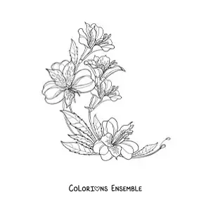 Image à colorier de cinq beaux lys réalistes avec des feuilles