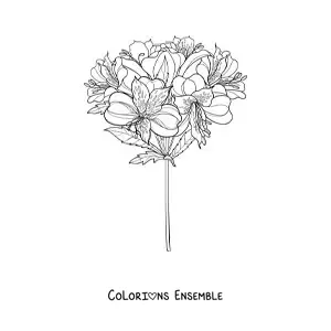 Image à colorier d’un bouquet de lys réalistes
