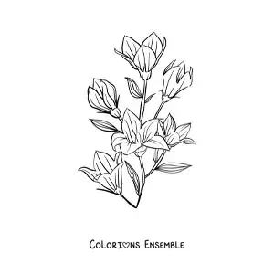 Image à colorier de plusieurs lys avec des feuilles