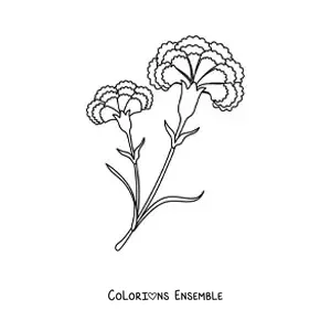 Image à colorier de deux beaux œillets