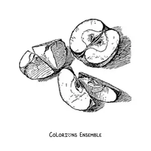 Image à colorier de plusieurs morceaux de pomme