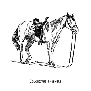 Image à colorier d’un cheval sellé avec les rênes lâches
