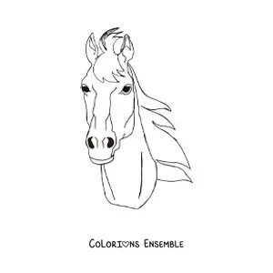 Image à colorier d’une tête de cheval vue de face